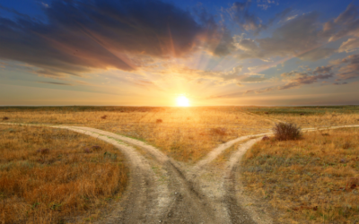 Fork in the Road- How to Meet Change Without Stress